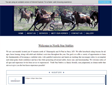 Tablet Screenshot of northstarwelaras.com